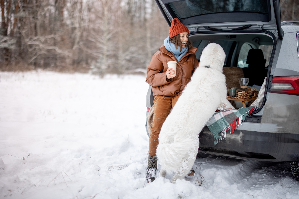 Don’t Get Caught Slipping: How to Handle Winter Like a Pro