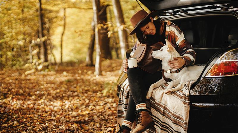 5 Viral Fall Car Hacks to Avoid (and What to Do Instead)