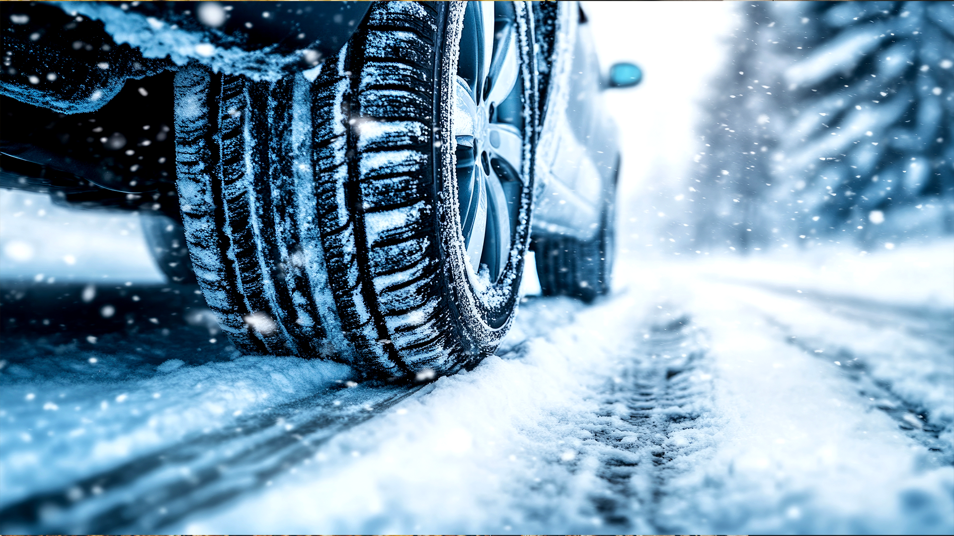 Make Winter Cozy Again (Starting with Your Car)
