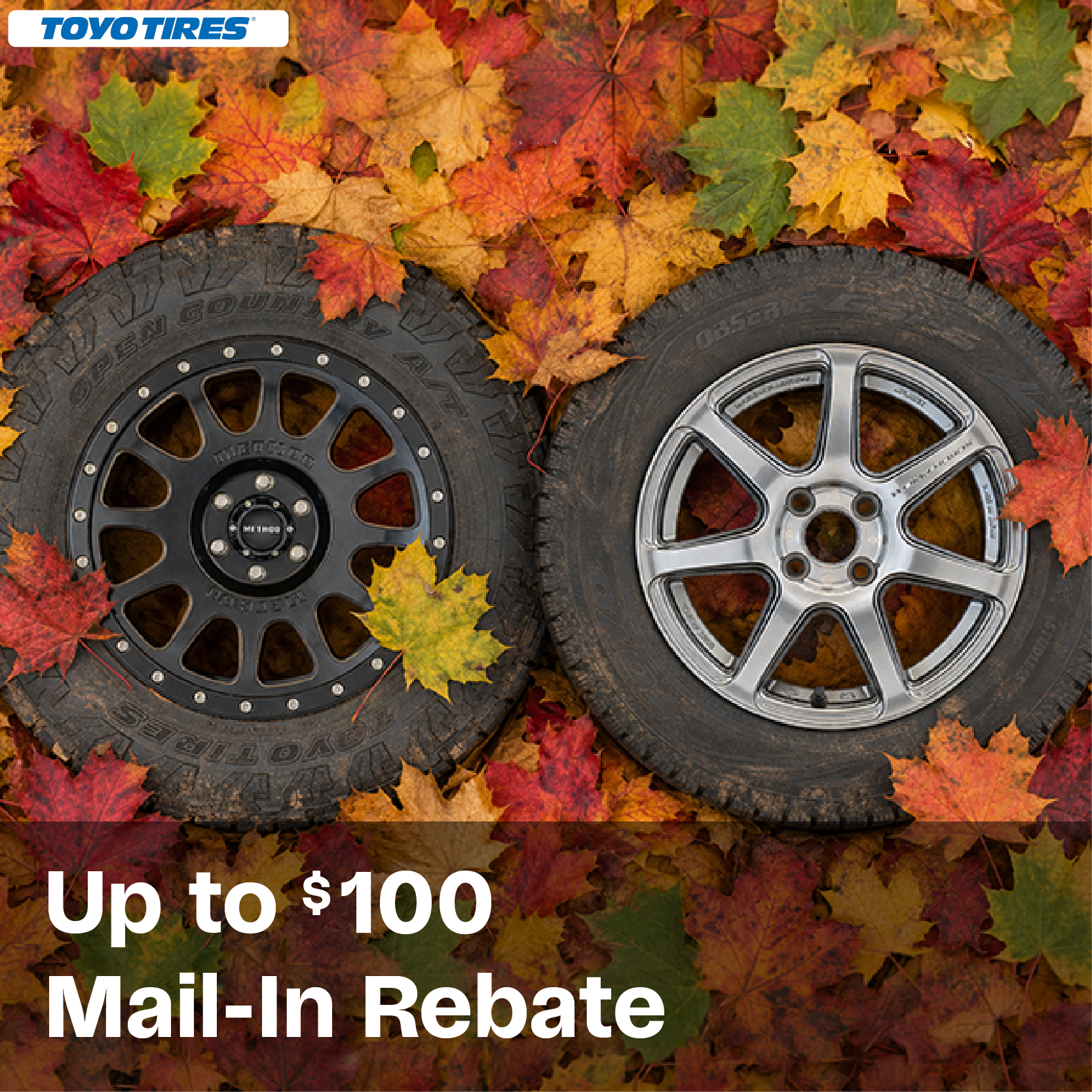 Up To $100 Mail-In Rebate With the Purchase of 4 Toyo Tires