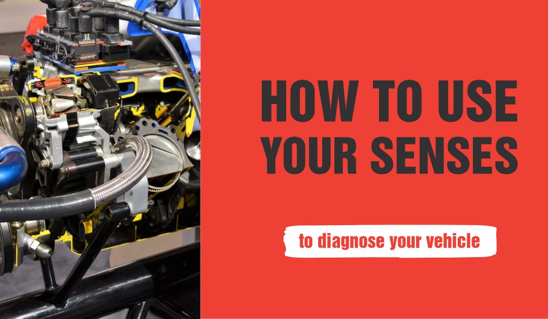 Sight, Smell, Sound, and Touch How to Use Your Senses to Detect a